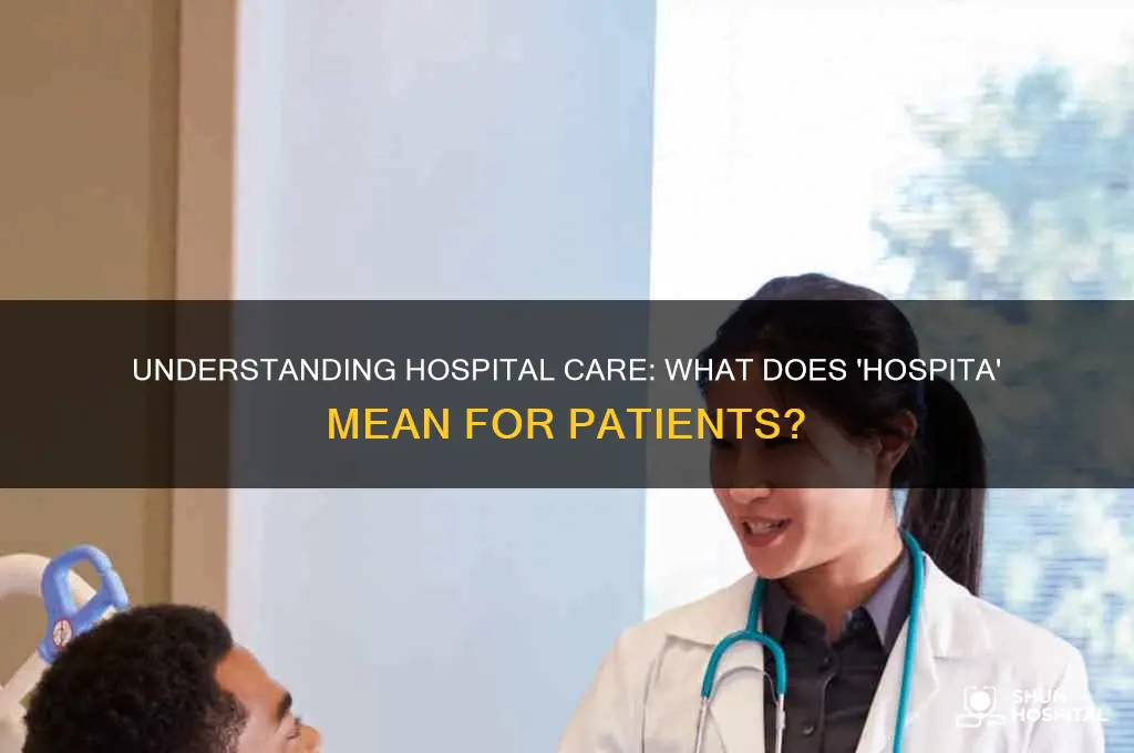 what does hospita