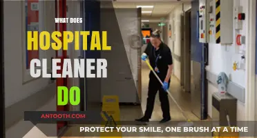 Hospital Cleaners: Unsung Heroes Ensuring Sanitation and Patient Safety Daily