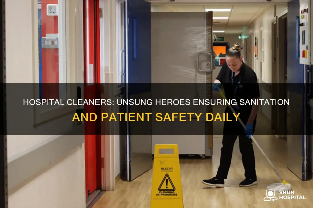what does hospital cleaner do
