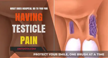 Understanding Hospital Procedures for Diagnosing and Treating Testicle Pain