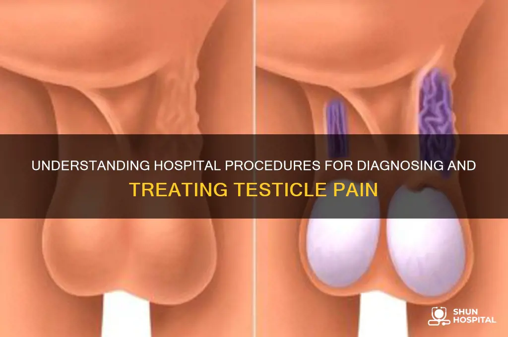 what does hospital do to you for having testicle pain