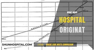 Unveiling the History and Evolution of Hospital Origins and Practices