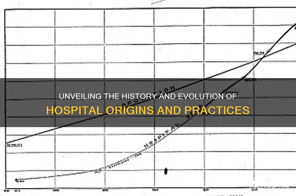 what does hospital originat