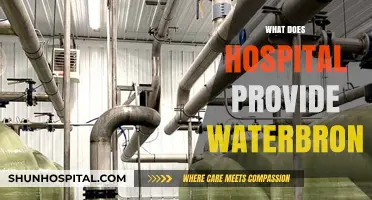Understanding Hospital Waterbron Services: What They Offer and Why It Matters