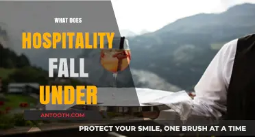 Understanding Hospitality: Exploring the Industry's Diverse Categories and Sectors