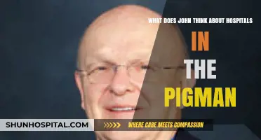 John's Perspective on Hospitals in The Pigman: A Deep Dive
