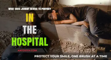 Johnny's Hospital Revelation: Unveiling Truths to Ponyboy in The Outsiders