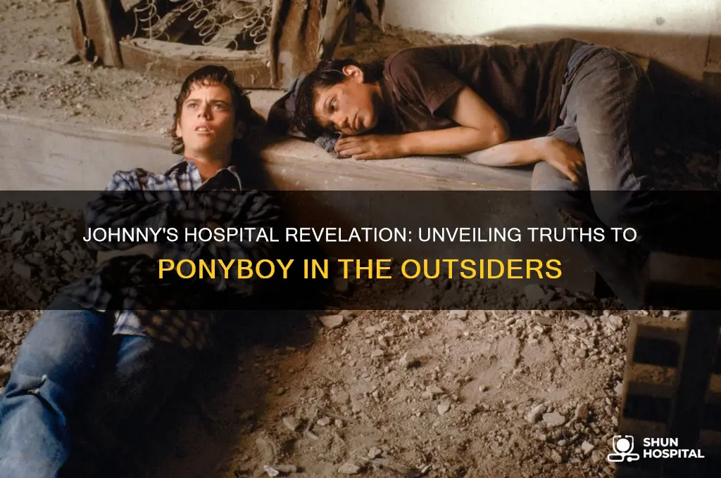 what does johnny reveal to ponyboy in the hospital