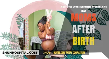 Johnston Willis Hospital's Postpartum Care: Essentials for New Moms After Birth