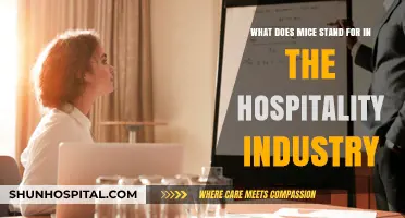 Decoding Mice: Understanding Meetings, Incentives, Conferences, and Exhibitions in Hospitality