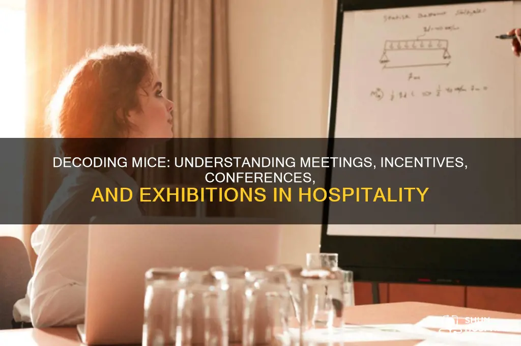 what does mice stand for in the hospitality industry