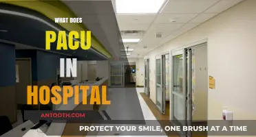 Understanding PACU: Post-Anesthesia Care Unit's Role in Hospital Recovery