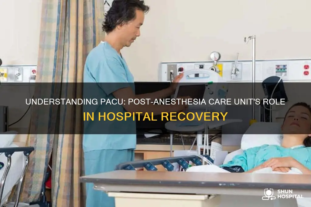 what does pacu in hospital