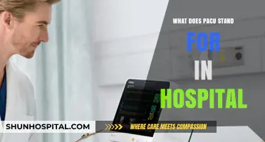 Understanding PACU: Post-Anesthesia Care Unit in Hospitals