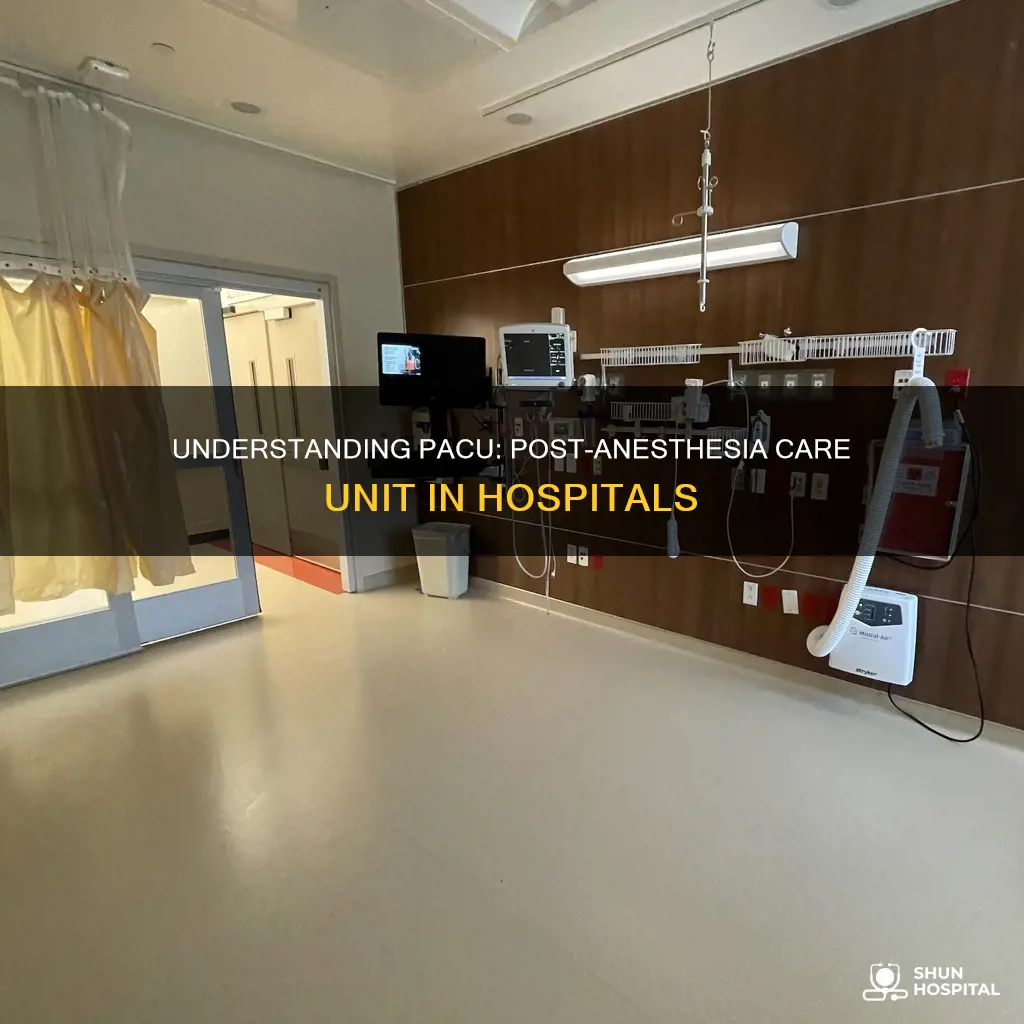 what does pacu stand for in hospital