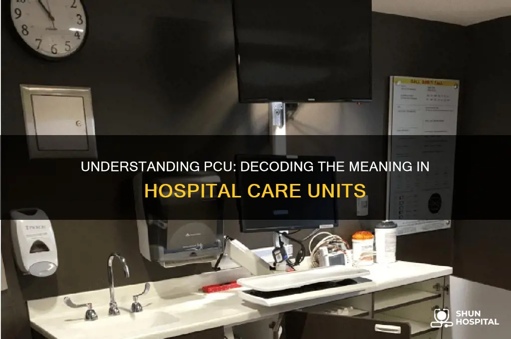 what does pcu stand for in a hospital setting