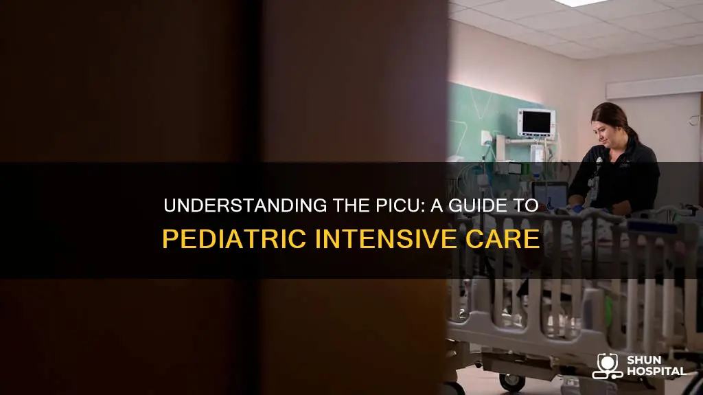 what does picu stand for in hospital