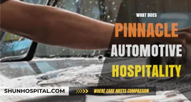 Elevating Car Care: Understanding Pinnacle Automotive Hospitality Excellence