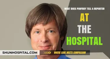 Ponyboy's Hospital Confession: Revealing Truths to a Curious Reporter