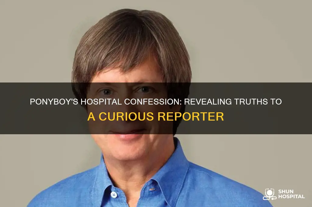 what does ponyboy tell a reporter at the hospital