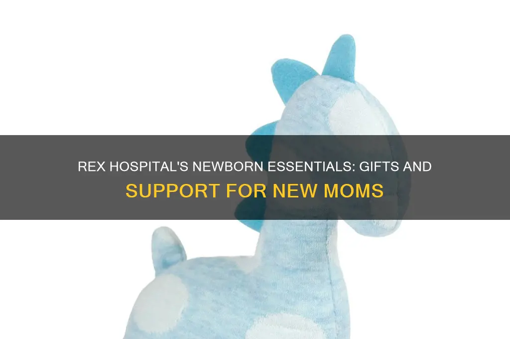 what does rex hospital give new moms for newborn