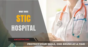 Understanding STIC Hospital: Services, Technology, and Innovative Care Explained