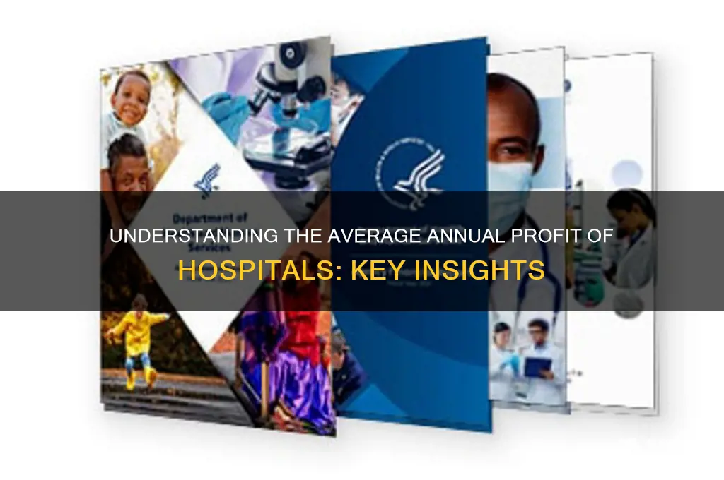 what does the average annual profit of a hospital