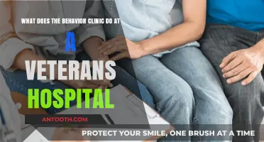 Understanding the Role of Behavior Clinics in Veterans' Healthcare