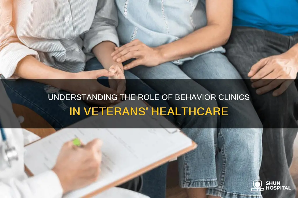 what does the behavior clinic do at a veterans hospital