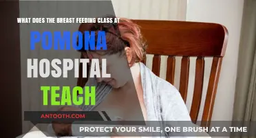 Pomona Hospital's Breastfeeding Class: Essential Skills and Support for New Moms