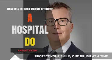 Understanding the Role of a Hospital's Chief Medical Officer