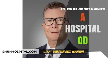 Chief Medical Officer's Role: Leading Clinical Excellence in Hospitals