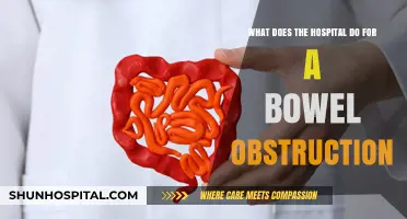 Understanding Bowel Obstruction: Hospital Treatments and Emergency Care Explained
