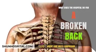 Understanding Hospital Treatment for a Broken Back: Procedures and Recovery