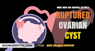 Ruptured Ovarian Cyst Treatment: Hospital Procedures and Recovery Explained