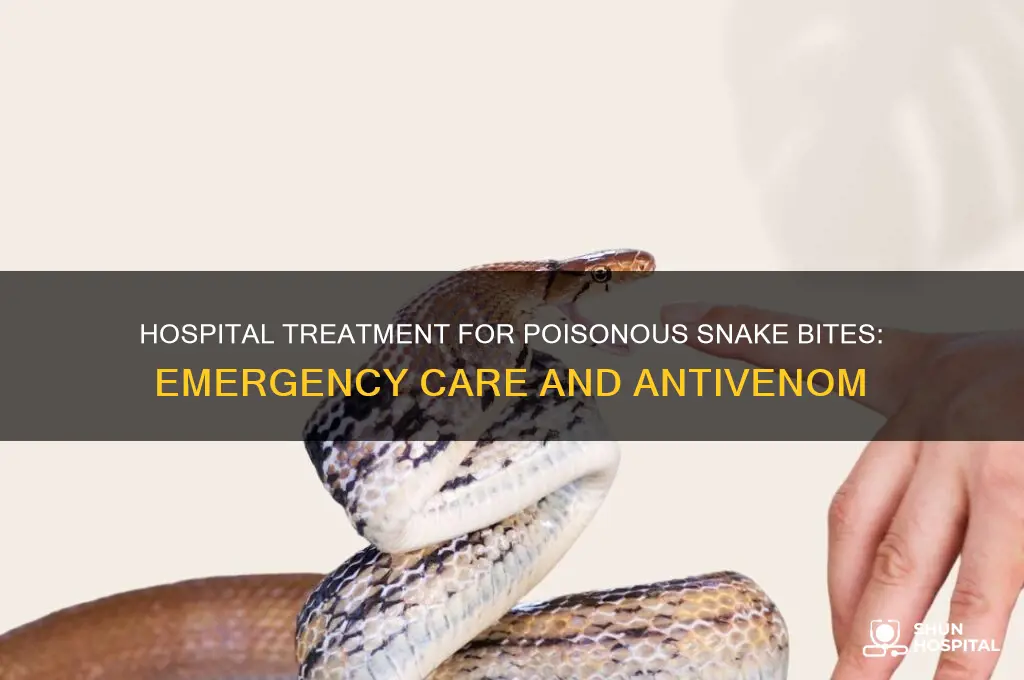 what does the hospital do for poisonous snake bites