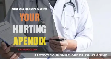 Understanding Appendicitis: Hospital Procedures for Treating a Painful Appendix