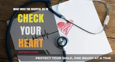 How Hospitals Evaluate Your Heart: Essential Cardiac Check-Up Procedures