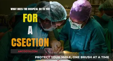 C-Section Procedure: What to Expect During Your Hospital Stay