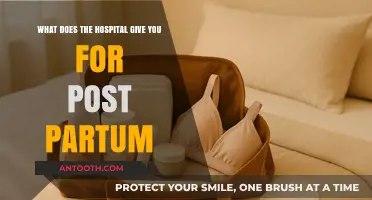 Postpartum Essentials: Hospital Supplies for New Moms After Delivery