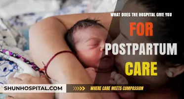 Postpartum Essentials: Hospital Care and Support After Childbirth Explained