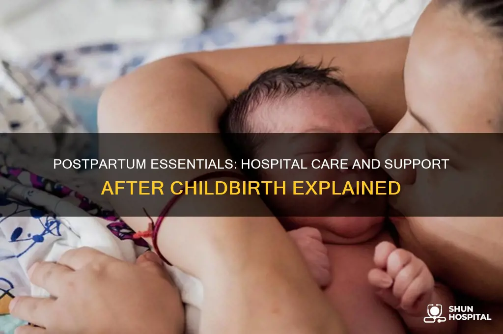 what does the hospital give you for postpartum care