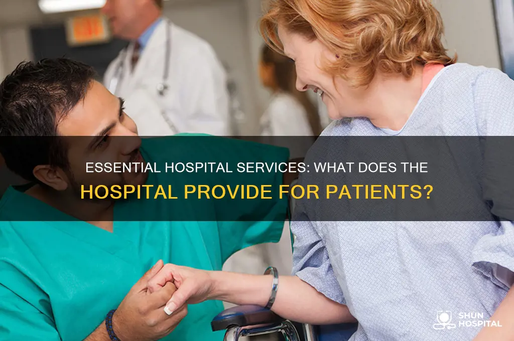 what does the hospital provid