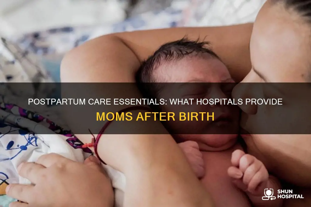 what does the hospital provide after birth for mom