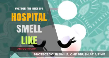 Unveiling the Unique Aromas: Inside a Hospital's Scent Profile