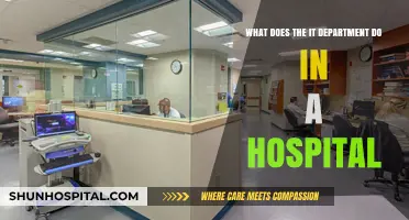 Exploring the Vital Role of IT Departments in Modern Hospitals