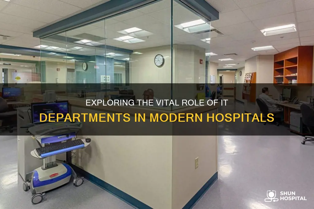 what does the it department do in a hospital