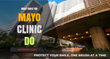Exploring the Mayo Clinic: A Comprehensive Look at Its Services and Expertise