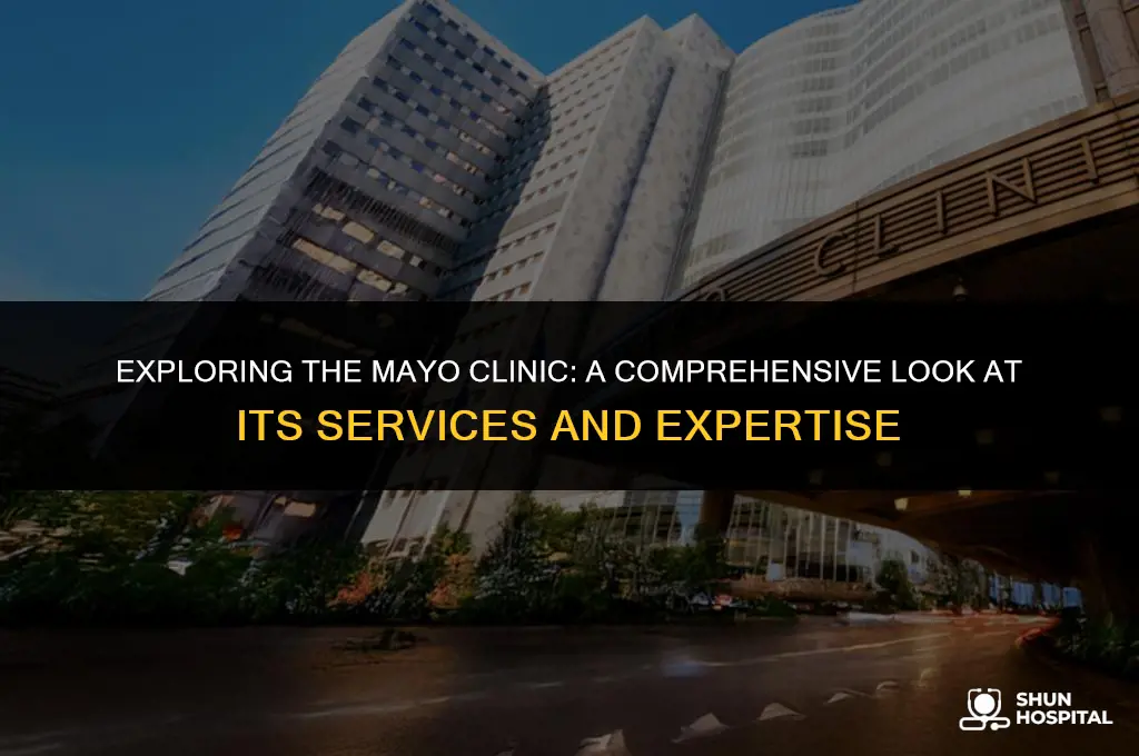 what does the mayo clinic do