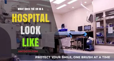 Exploring the OR: A Visual Guide to Hospital Operating Rooms